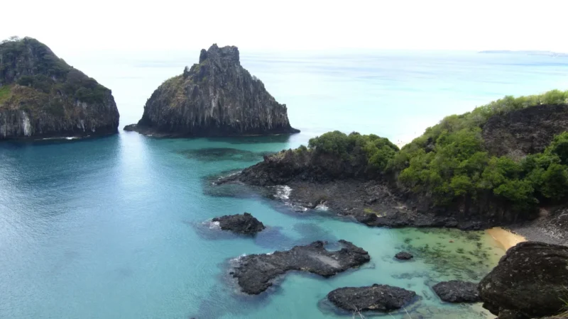 Estudo revela presença de espécies exclusivas nas ilhas oceânicas do Brasil