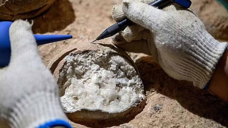 Cristais são encontrados dentro de ovos de dinossauros