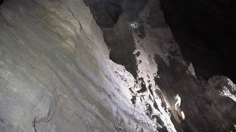 Criaturas únicas vivem em completa escuridão na Caverna Veryovkina