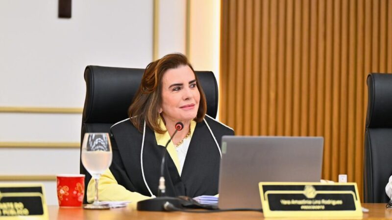 Presidente do TCE-AM intensifica plano de ação para acelerar análise de processos antigos