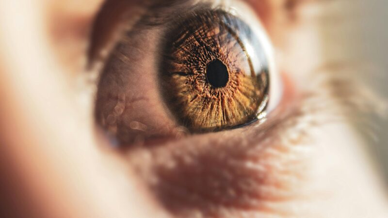 Cientistas revertem a cegueira pela primeira vez na história com células-tronco