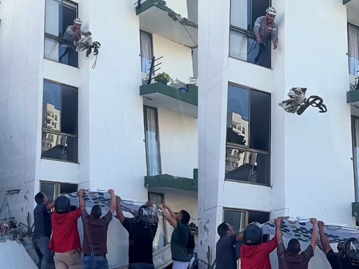 Moradores usam lençol para salvar cachorrinho preso após terremoto; vídeo