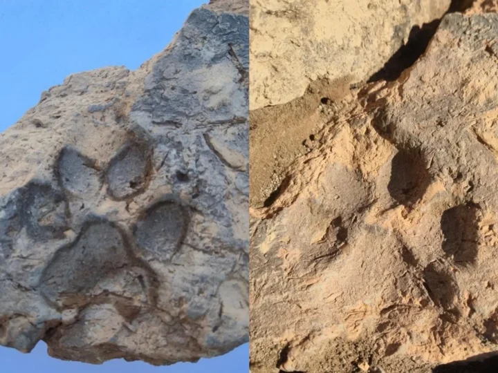Tijolo de 3,7 mil anos com marca de pata de cachorro é achado na Turquia